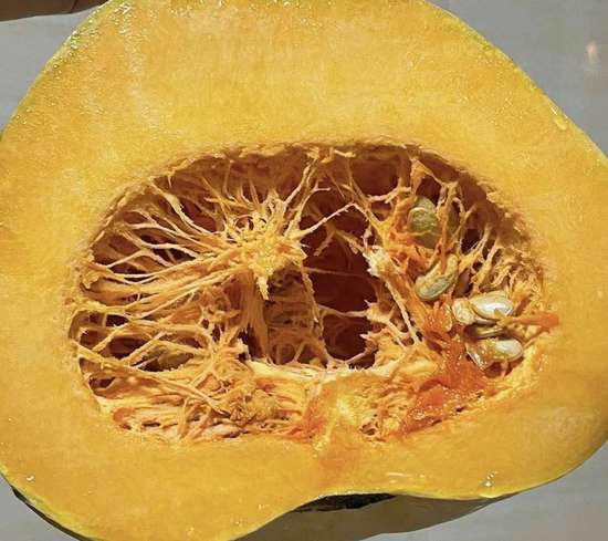 冷空气种下去的瓜苗受冻了怎么办