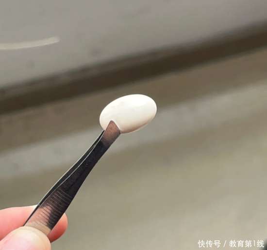 老年人补钙早上补还是晚上补