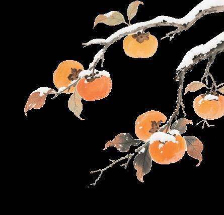 今年过年带女朋友回家过年