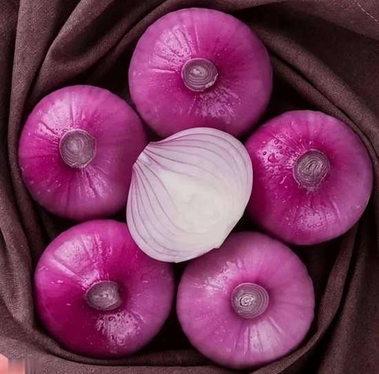 高血脂能吃生菜吗