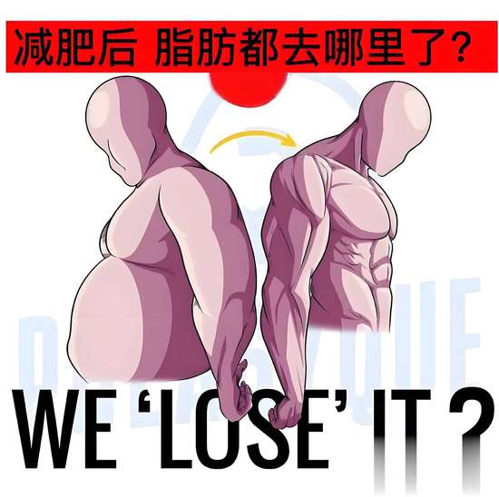 流汗和燃烧脂肪有没有关