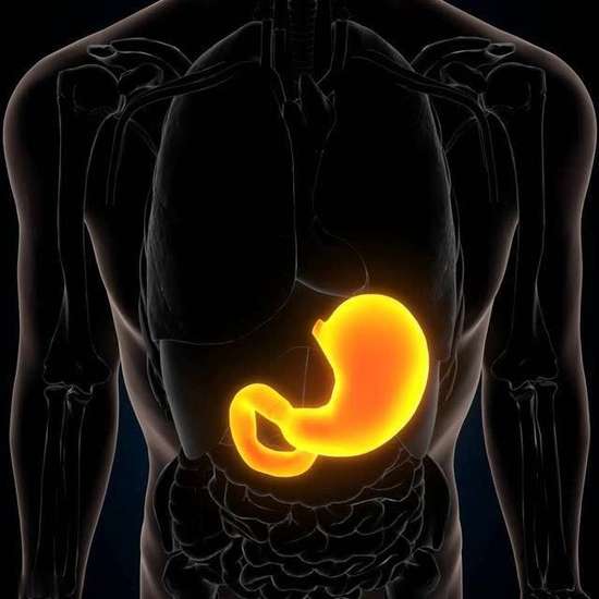 饭后半小时的养胃方法