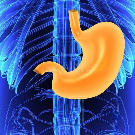 饭后半小时的养胃方法