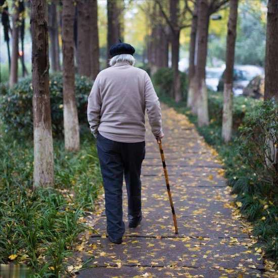 经常散步能降血脂吗