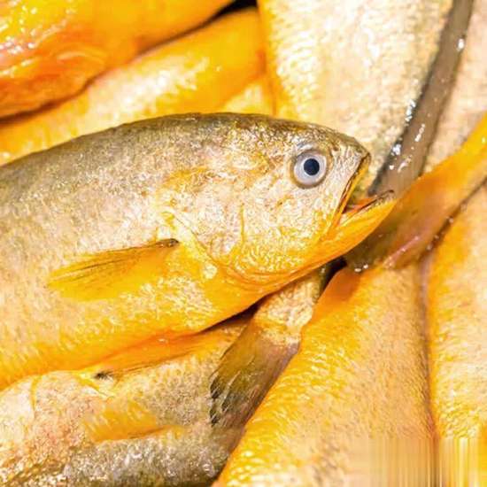 气色黄气血不足怎么调理