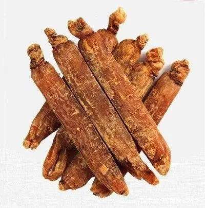 高丽参粉功效与作用