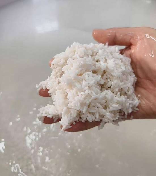 舌尖上的年味粤语