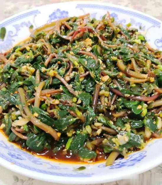 清爽的家常菜谱大全