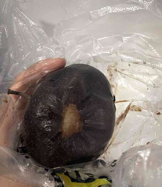 冰糖葫芦同城用户