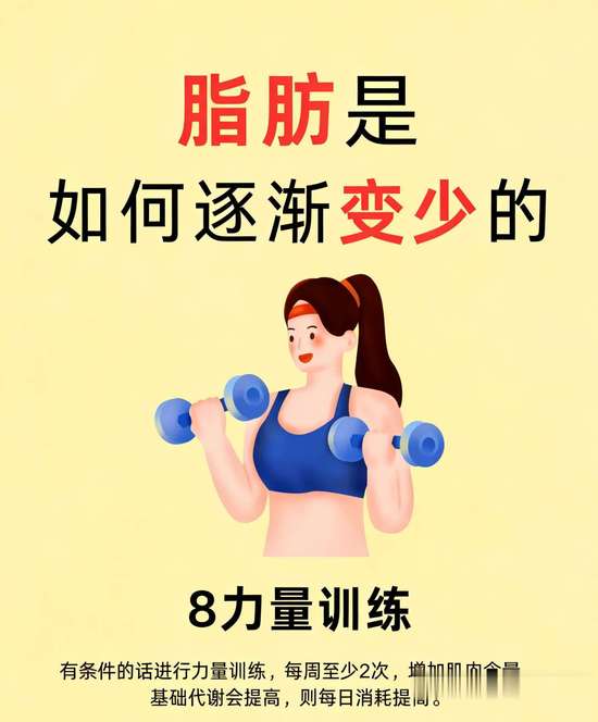 脂肪消减的过程