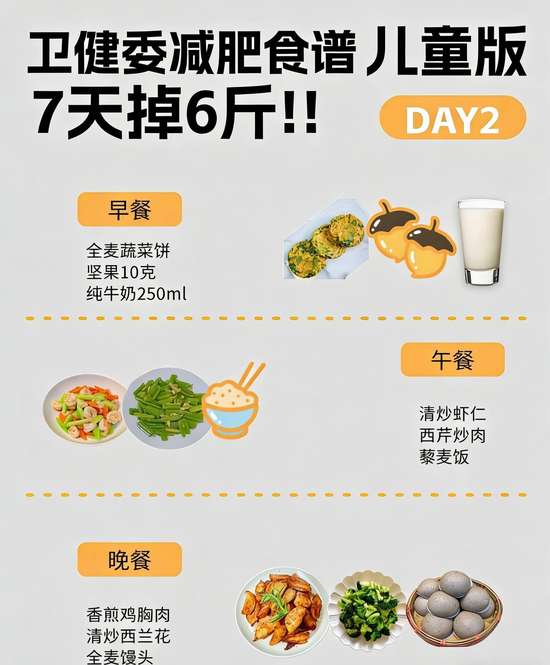 国家卫健委2025减肥食谱书籍