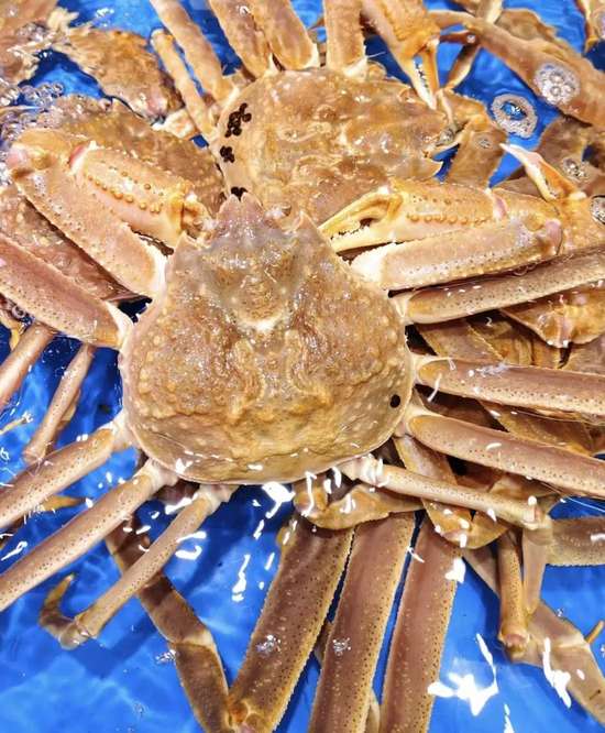 汉口北渔人码头海鲜