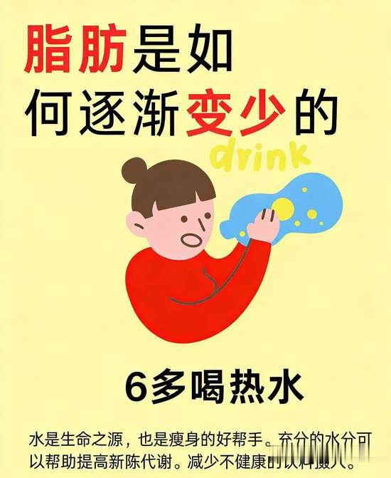 脂肪消减的过程