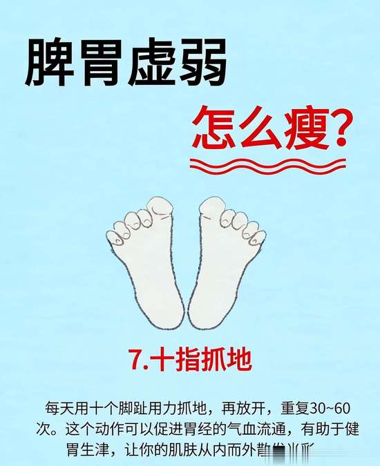 脾胃虚弱但是瘦