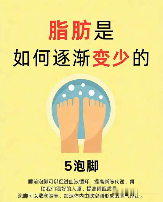 脂肪消减的过程