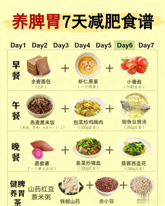 减脂期怎么养脾胃