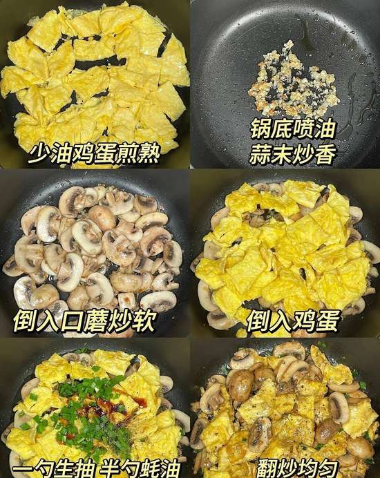 调理脾胃的纯阳之物