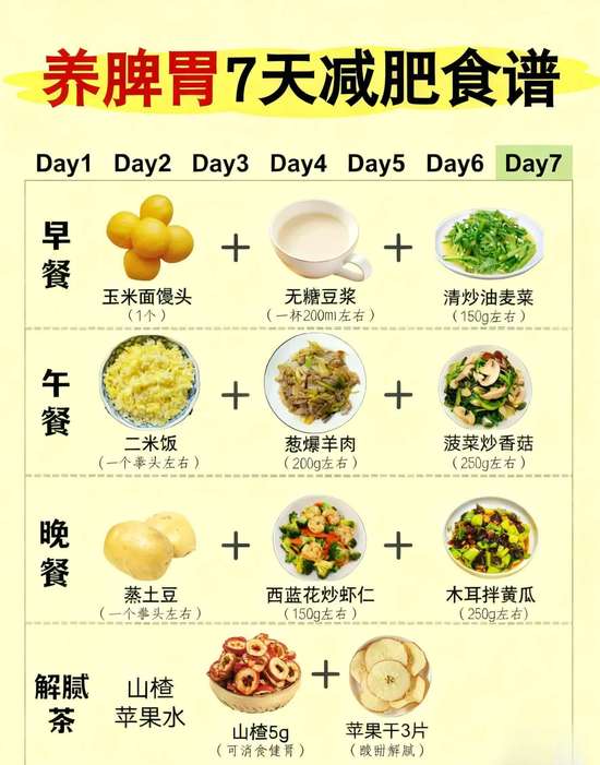 减脂期怎么养脾胃