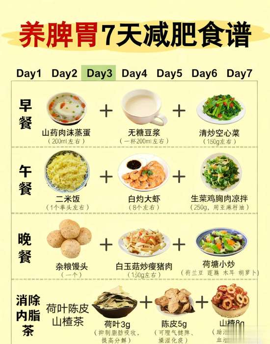 减脂期怎么养脾胃