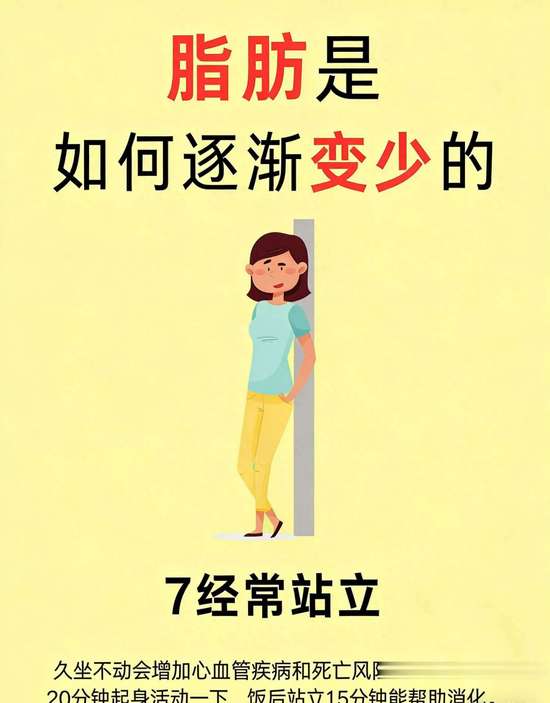 脂肪消减的过程