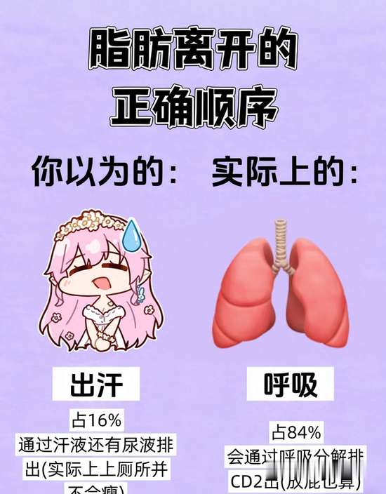 脂肪离开你的正确顺序