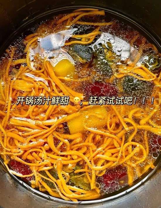 调理脾胃的纯阳之物