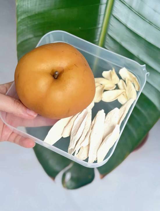 补脾能提高免疫力吗