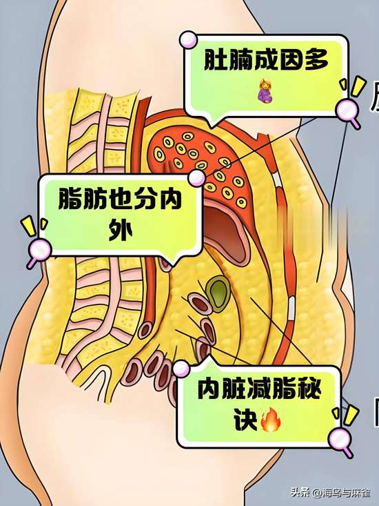流汗和燃烧脂肪有没有关
