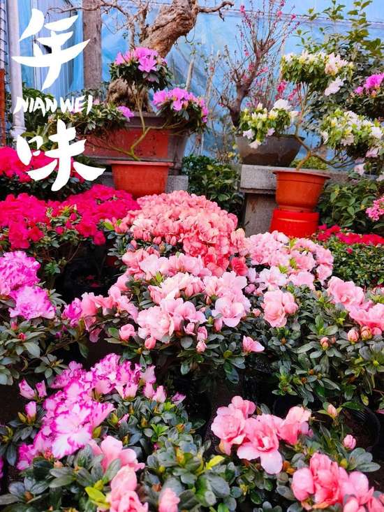 在年货烟火气中升腾经济新动能