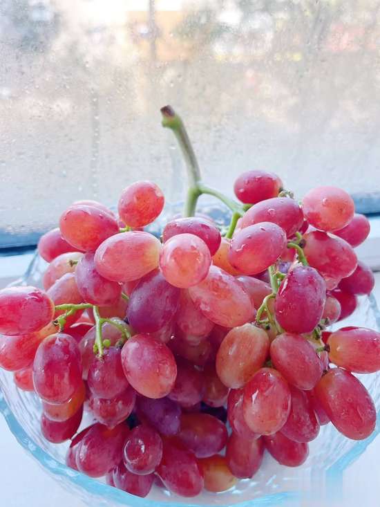 秋燥喉咙干涩怎么办