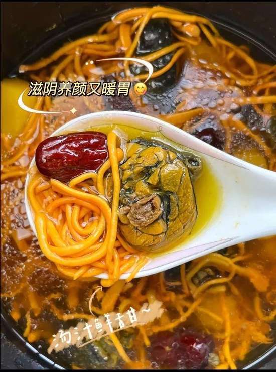 调理脾胃的纯阳之物