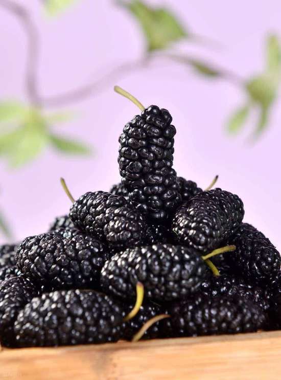 桑葚搭配什么补气血