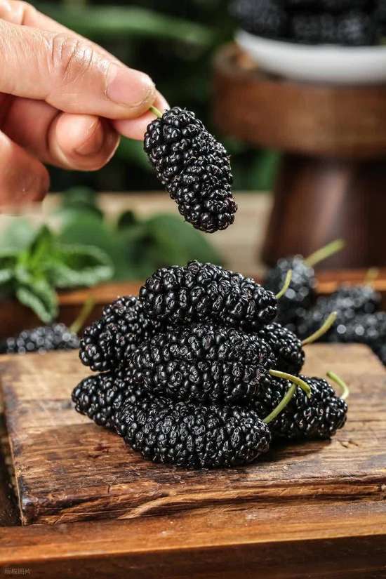 桑葚搭配什么补气血