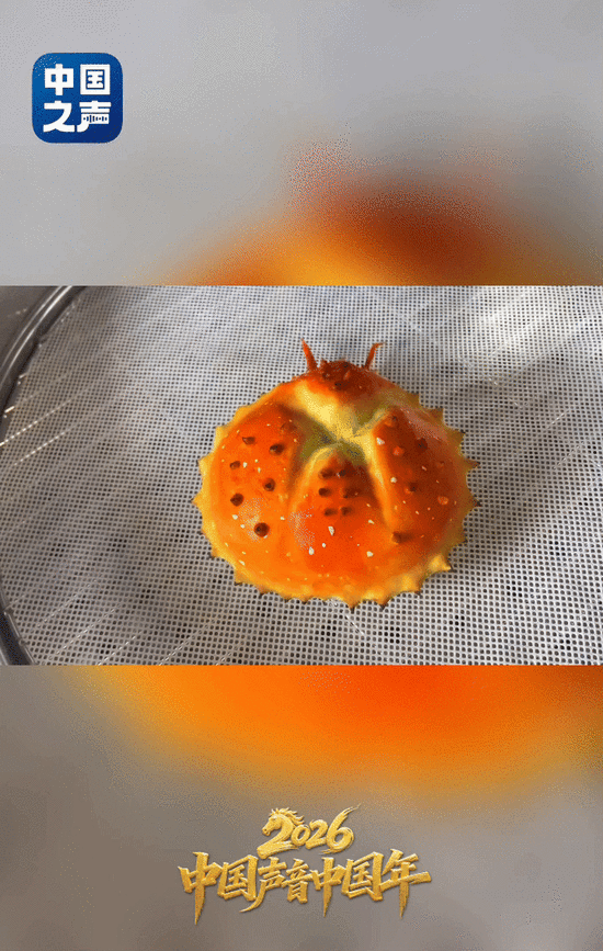 中国声音中国年