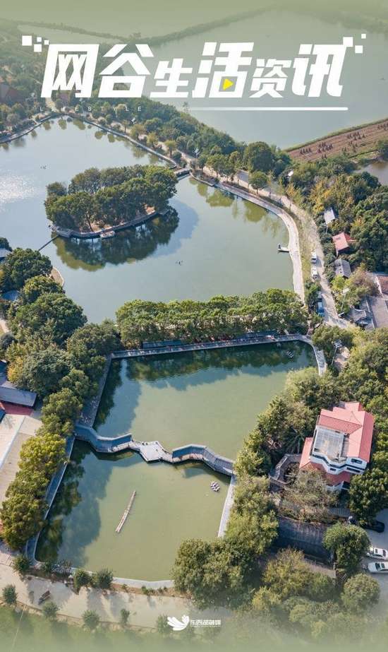 年味伴新春东西湖