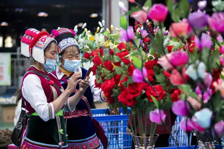 七彩鲜花（七彩鲜花图片大全大图） 第3张