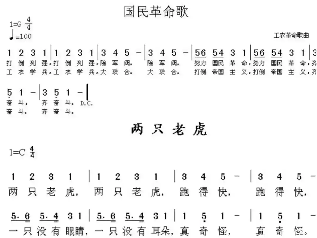 海龟用肛门呼吸，北极熊皮肤是黑色的…20个眼界大开的冷知识！