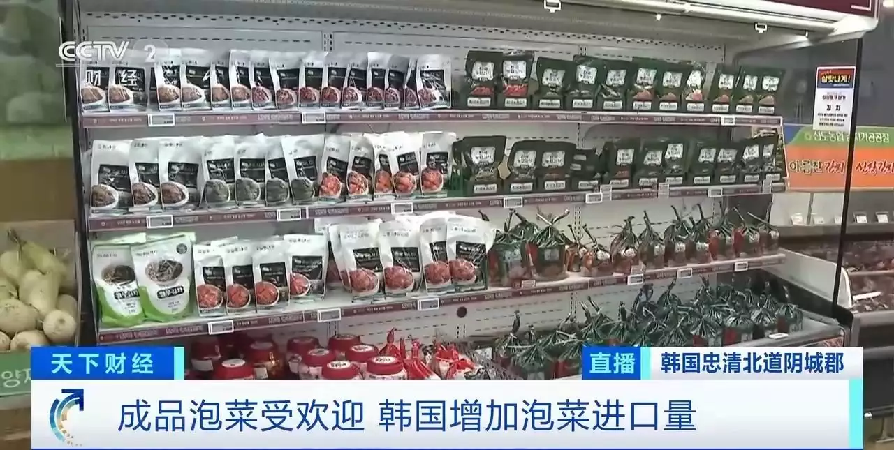 韩国白菜（韩国白菜怎么腌制好吃简单） 第4张