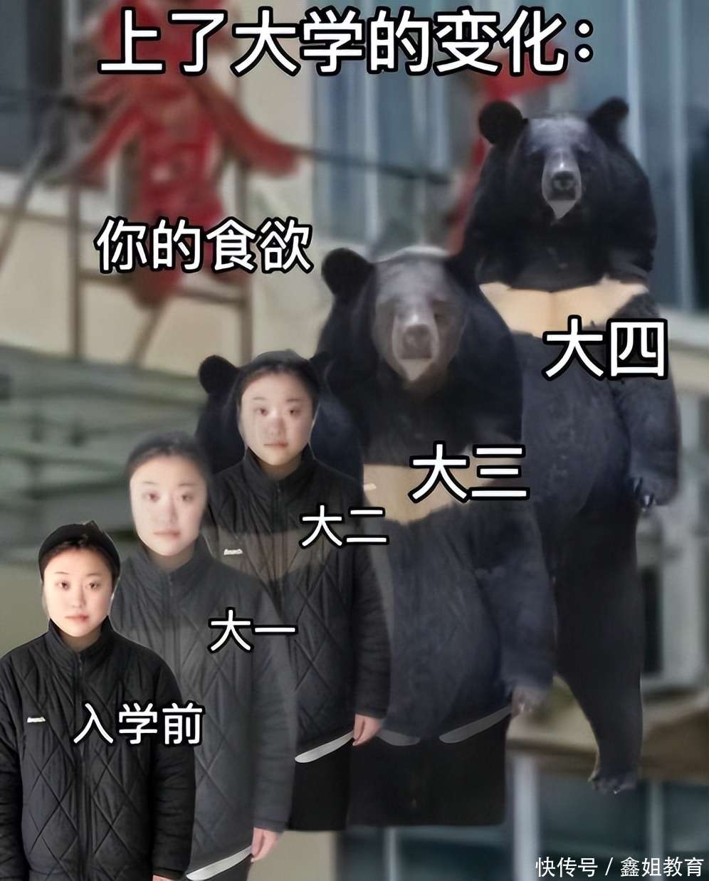 学生用梗图精准概括,大学四年的“退化史”,可谓拿捏到了精髓_【快资讯】