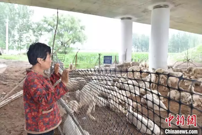 捐卵助孕机构（衡水防汛指挥部）