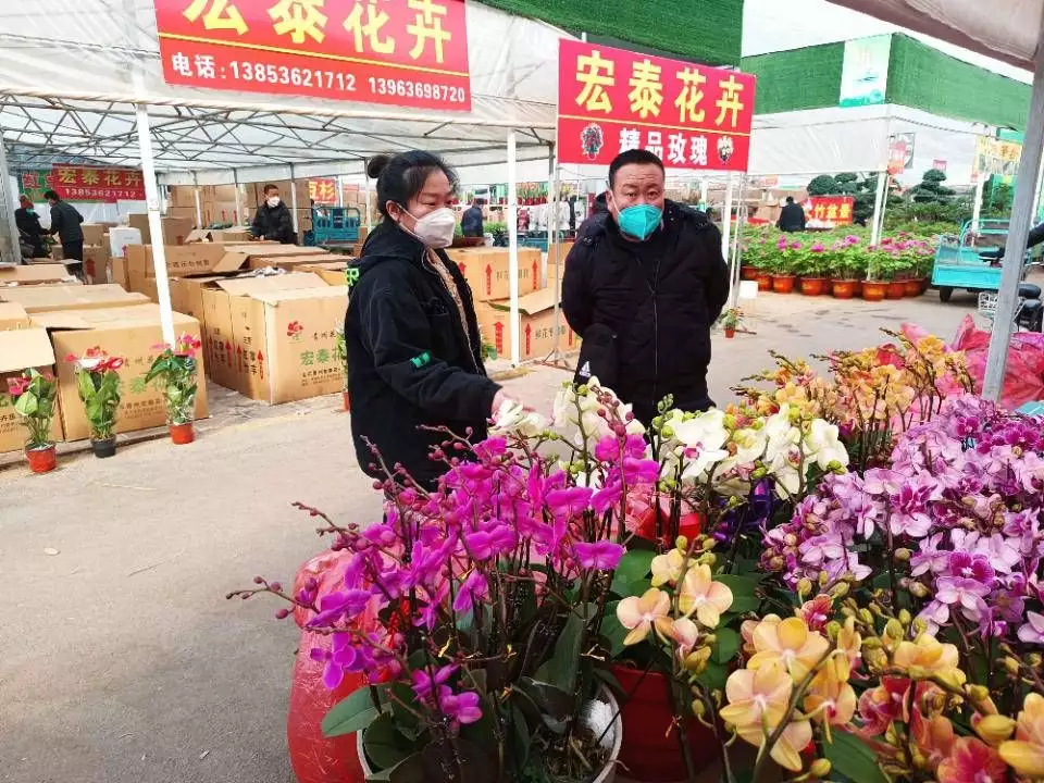 青州：年宵花不负花期“抢”市场少儿不宜和擦边球有何区别？家长总是分不清，许多国漫被迫下架