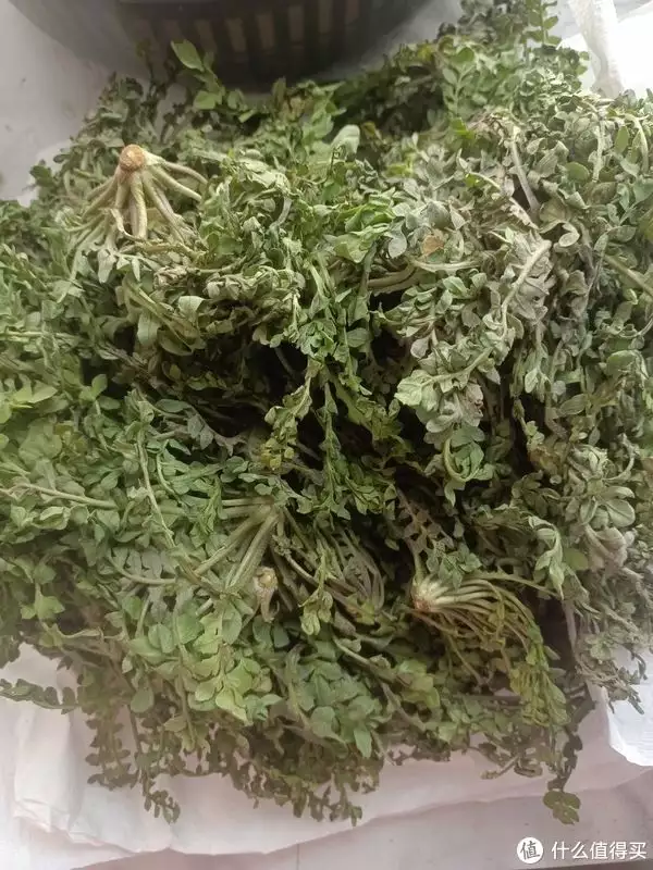 荠菜怎么做最好吃（荠菜是什么样子的） 第1张