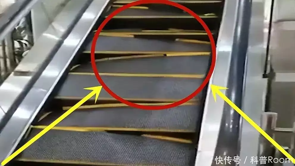 钢丝绳全部断裂电梯也不坠底?原理令人大跌眼镜!走进刘彻的一生,雄才大略的汉武帝戎马丹心,是非功过后人评