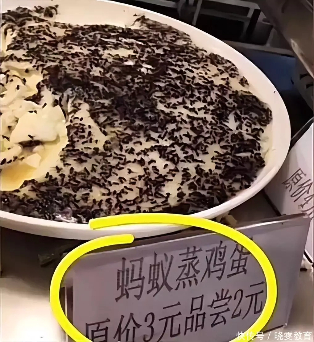 辣椒炒月饼（辣椒炒月饼是哪个学校） 第6张