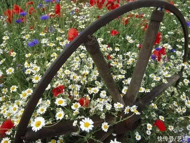 天下风物——《【抬头是方向，低头是清醒（深刻）】诗韵咏合》风光题照