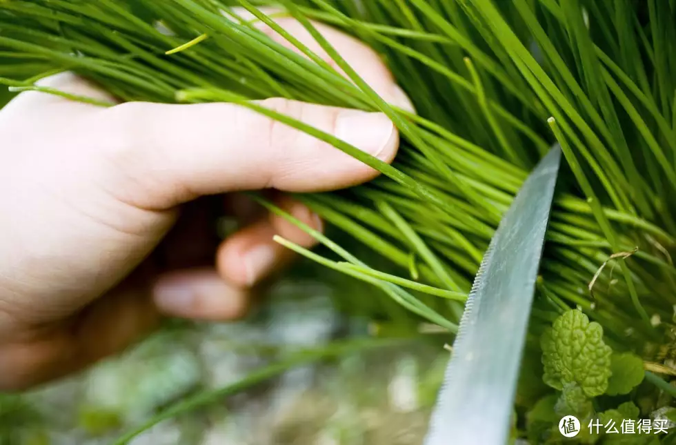 被流量卡割韭菜就别用啦！看看这个！2024随身wifi怎么选，随身WiFi推荐测评被导演骂耍大牌，美的惊艳却因病爆肥，重返演艺圈靠实力获影后