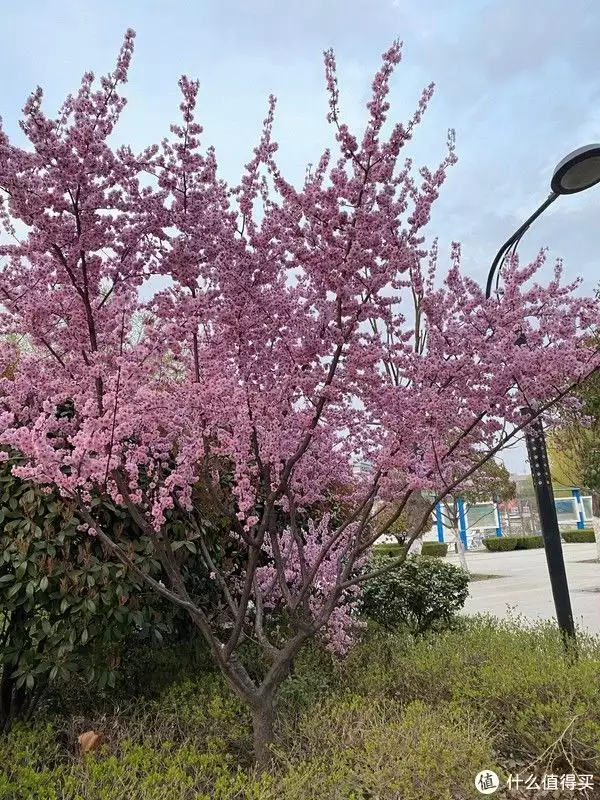 夏天不止炎热，也有快乐（阳光的快乐的生活3）夏天不止炎热,也有快乐的说说，