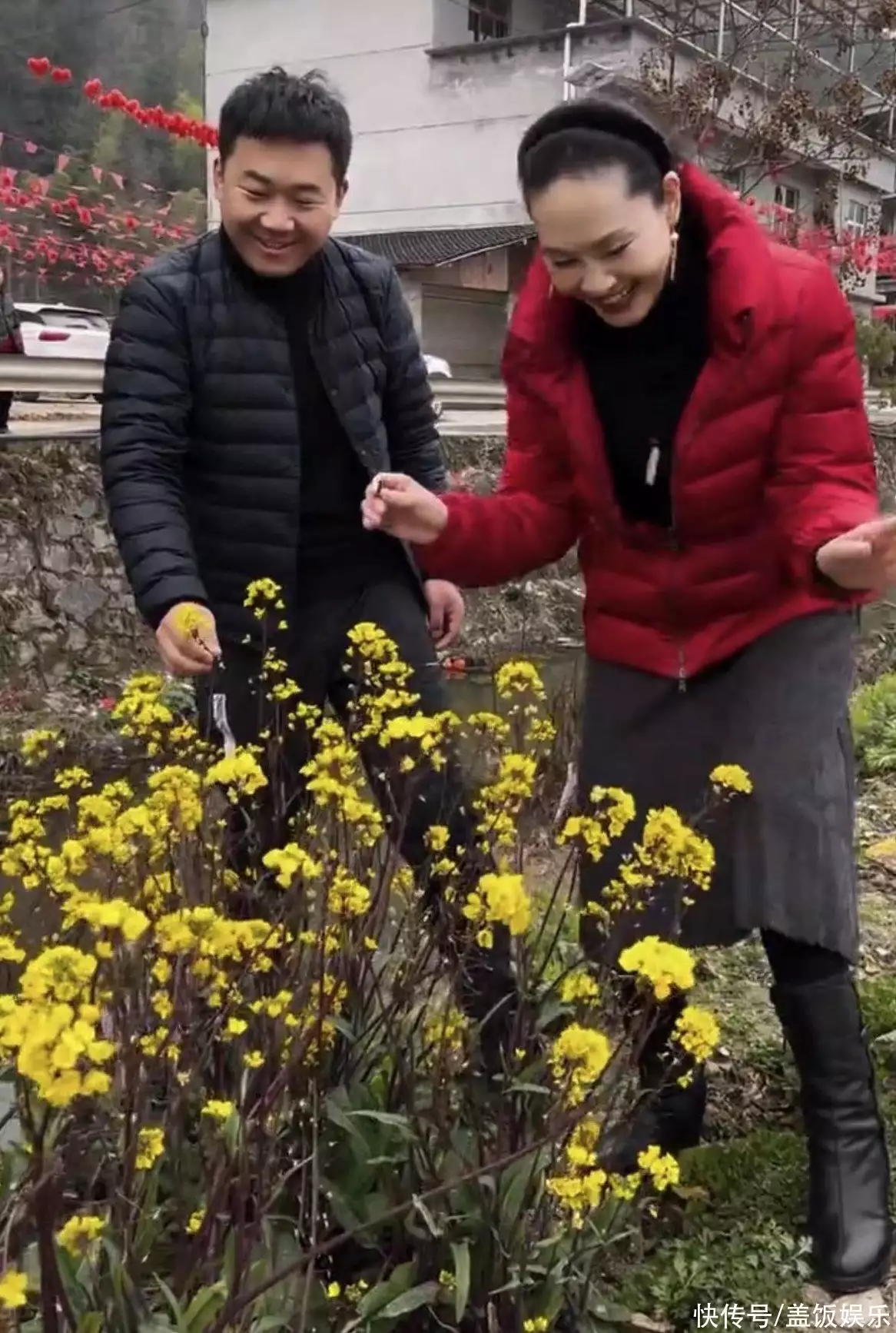 红菜苔（红菜苔种子要浸泡吗） 第6张