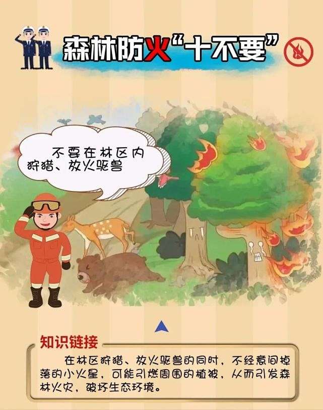 冰雪热传遍大江南北 ❶“最成功”亚冬会 点燃全民冰雪热爱游戏体育(AYX Sports)官方网站