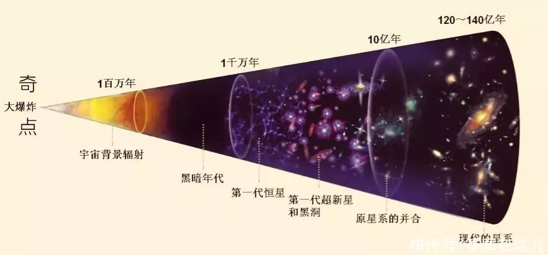 奇特的树（有哪些奇特的树和它们的特征相同） 第10张